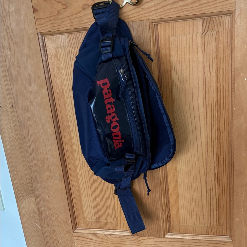 Patagonia Blue and Red Belt Bag